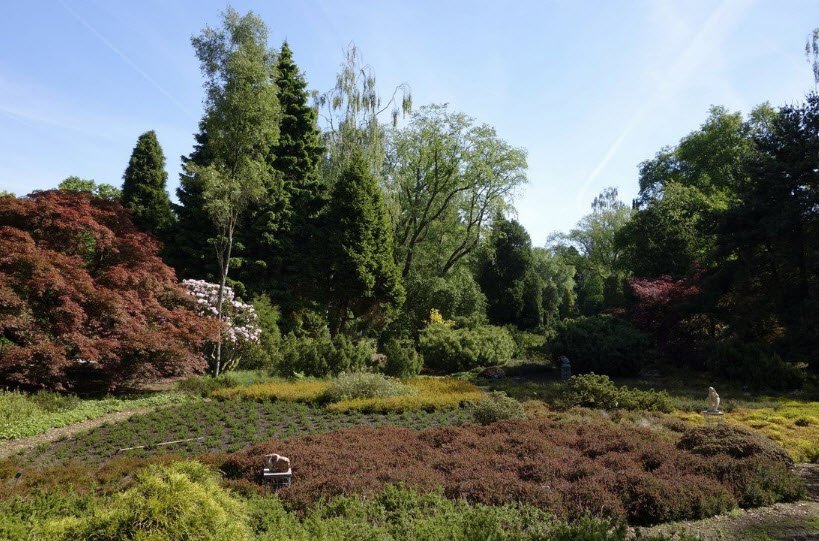 Von Gimborn Arboretum, Netherlands